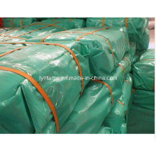 Green Cover Fabric Tarpaulin Sheet/PE Tarp Sheet